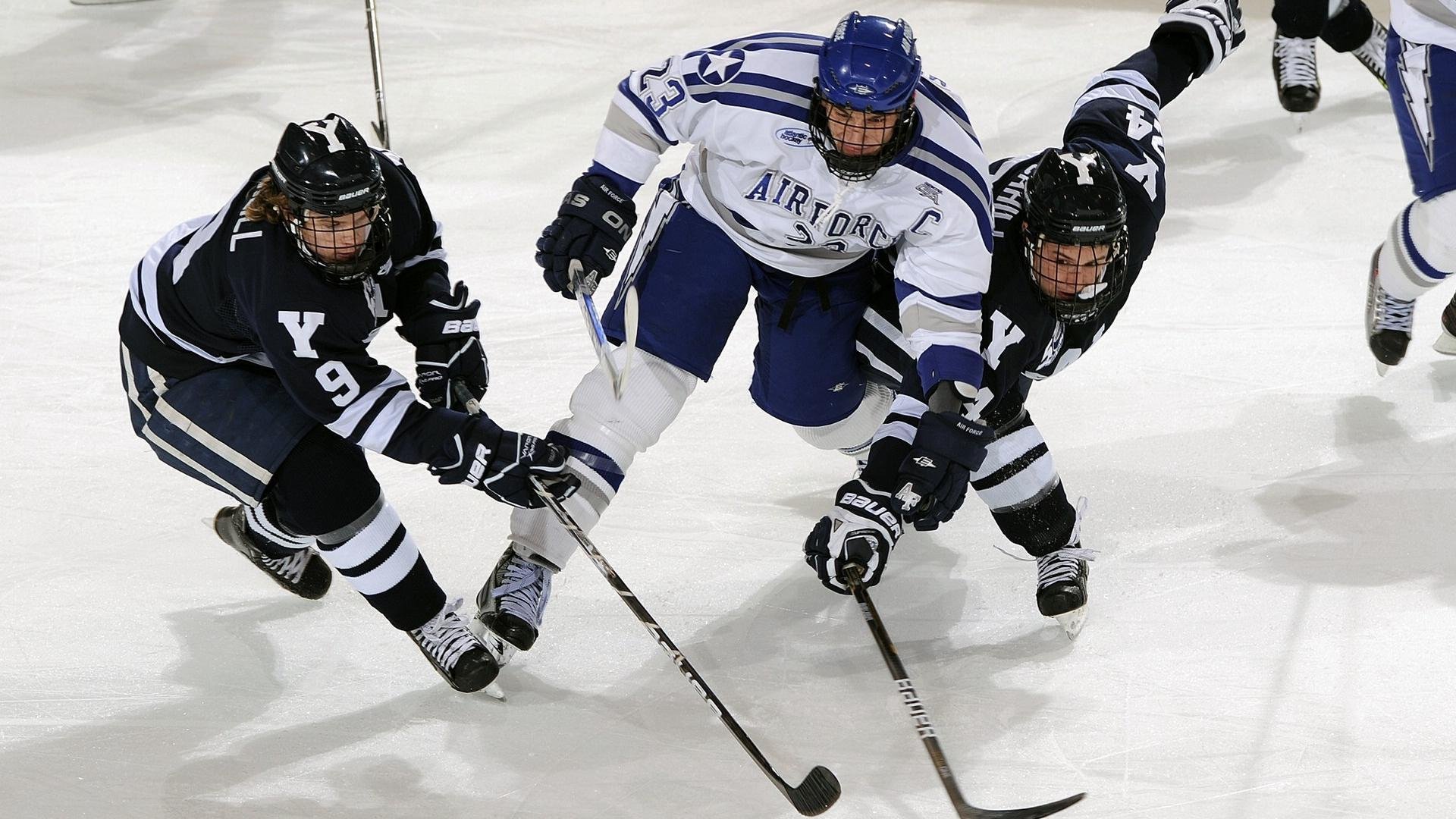 -哥伦比亚马术协会与学校合作，开展马术教育课程，推广马术文化。